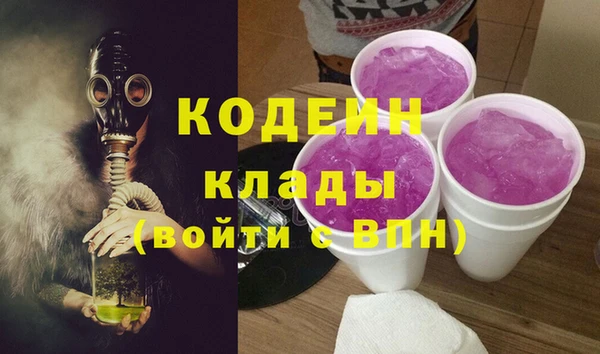 молекула духа Гусиноозёрск