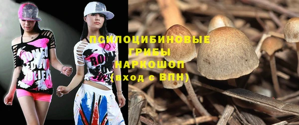 метадон Гусь-Хрустальный