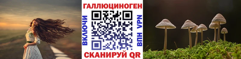 Купить где  Михайловка  Галлюциногенные грибы Psilocybe 